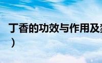 丁香的功效与作用及禁忌（丁香的功效与作用）