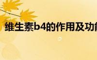 维生素b4的作用及功能（维生素B4的作用）