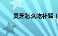 灵芝怎么吃补肾（灵芝如何吃补肾）