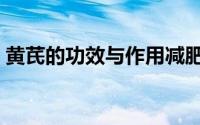 黄芪的功效与作用减肥（黄芪的功效与作用）