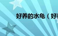 好养的水龟（好养的水龟有哪些）