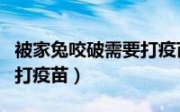 被家兔咬破需要打疫苗吗（被家兔咬伤用不用打疫苗）