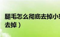 腿毛怎么彻底去掉小窍门家里（腿毛怎么彻底去掉）