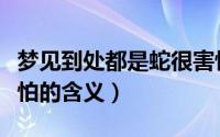 梦见到处都是蛇很害怕（梦见到处都是蛇很害怕的含义）
