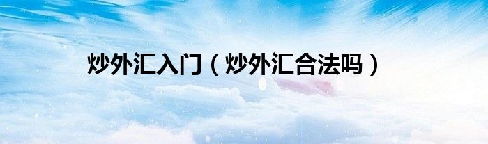 “炒外汇入门（炒外汇合法吗）