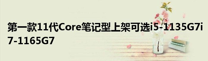 第一款11代Core笔记型上架可选i5