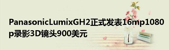 PanasonicLumixGH2正式发表16mp1080p录影3D镜头900美元