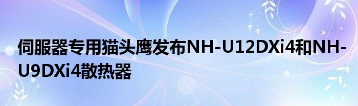 伺服器专用猫头鹰发布NH