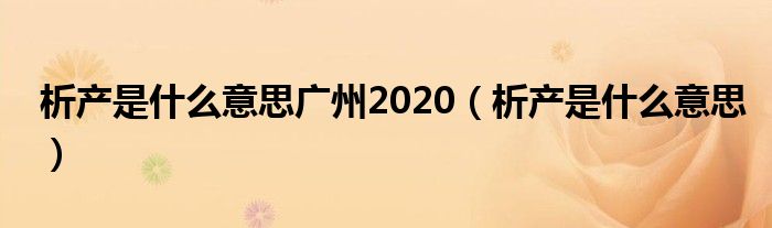 析产是什么意思广州2020（析产是什么意思）