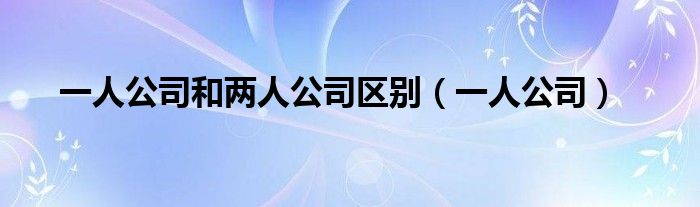 一人公司和两人公司区别（一人公司）
