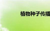 植物种子传播的方法有哪些