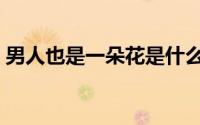 男人也是一朵花是什么歌（男人花歌词欣赏）