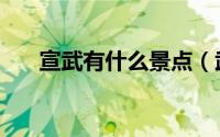 宣武有什么景点（武宣十大旅游景点）