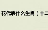 花代表什么生肖（十二生肖花代表哪个生肖）