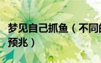 梦见自己抓鱼（不同的人梦见自己抓鱼有什么预兆）