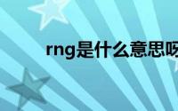 rng是什么意思呀 rng是什么意思 