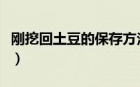 刚挖回土豆的保存方法（刚挖回土豆怎么保存）