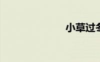 小草过冬的方法