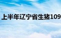 上半年辽宁省生猪1091万头 同比增长15.8%