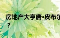 房地产大亨唐·皮布尔斯如何赚取数百万美元？