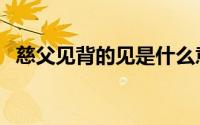 慈父见背的见是什么意思（慈父见背含义）