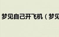 梦见自己开飞机（梦见自己开飞机代表什么）
