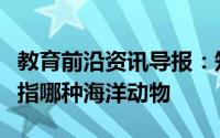 教育前沿资讯导报：知识科普：美人鱼实际是指哪种海洋动物