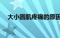 大小圆肌疼痛的原因（大小圆肌的功能）