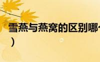 雪燕与燕窝的区别哪个好（雪燕与燕窝的区别）