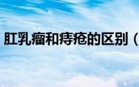 肛乳瘤和痔疮的区别（肛乳头瘤和痔疮区别）