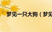 梦见一只大狗（梦见一只大狗代表什么）