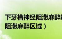 下牙槽神经阻滞麻醉进针点图片（下牙槽神经阻滞麻醉区域）