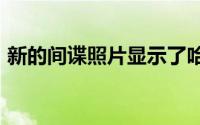 新的间谍照片显示了哈弗H8的最终生产版本