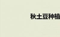 秋土豆种植时间与技术
