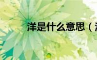 洋是什么意思（洋的意思是什么）