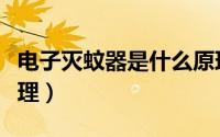 电子灭蚊器是什么原理（电子灭蚊器的工作原理）