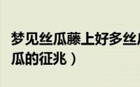 梦见丝瓜藤上好多丝瓜（梦见丝瓜藤上好多丝瓜的征兆）