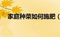 家庭种菜如何施肥（家庭种菜怎么施肥）