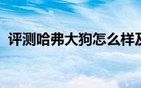 评测哈弗大狗怎么样及哈弗大狗的性能如何