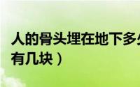 人的骨头埋在地下多少年能没有了（人的骨头有几块）