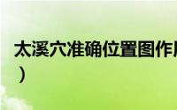 太溪穴准确位置图作用功效（太溪穴准确位置）