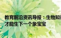 教育前沿资讯导报：生物知识科普解答：大象一般怀孕多久才能生下一个象宝宝