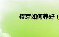 椿芽如何养好（椿芽怎样养好）