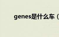 genes是什么车（genes是什么车）