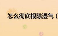 怎么彻底根除湿气（怎么彻底根治晕车）