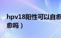 hpv18阳性可以自愈吗（HPV18阳性可以自愈吗）