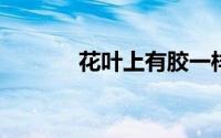 花叶上有胶一样的东西怎样治