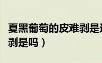 夏黑葡萄的皮难剥是这样吗（夏黑葡萄的皮难剥是吗）
