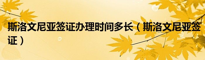 斯洛文尼亚签证办理时间多长（斯洛文尼亚签证）