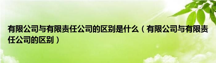有限公司与有限责任公司的区别是什么（有限公司与有限责任公司的区别）